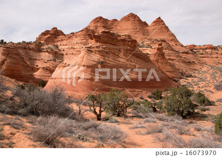 Coyote Buttes South, Utah, USA Coyote Buttes South, Utah, USA 16073970