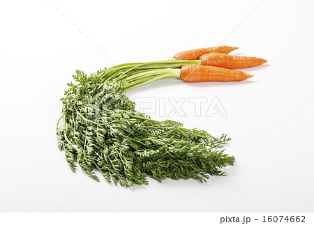 葉付きニンジン　人参の葉 16074662