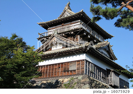 緑鮮やかな丸岡城天守閣 緑鮮やかな丸岡城天守閣 16075929