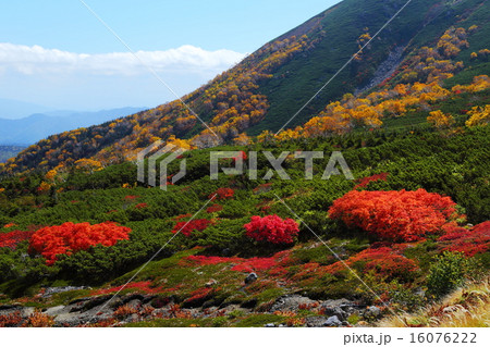 乗鞍岳の紅葉 16076222