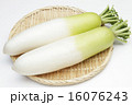 国産大根 16076243