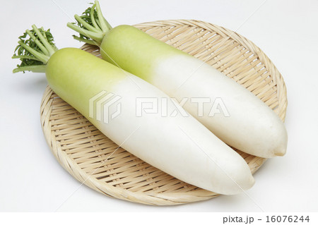 国産大根 16076244
