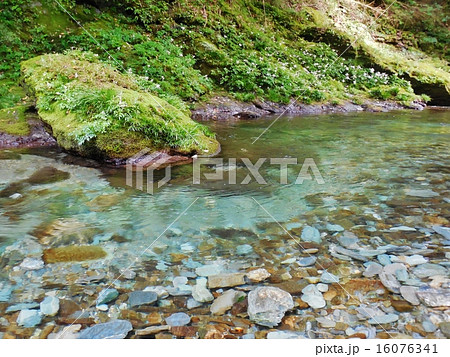 綺麗な川の写真素材 16076341 Pixta