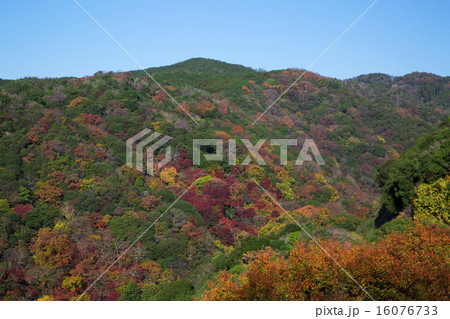 箕面の山 箕面の山 16076733