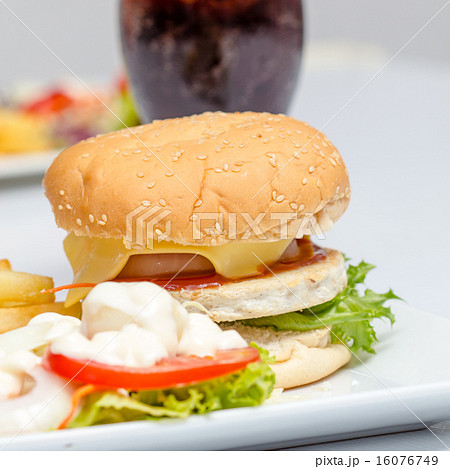 American cheese burger American cheese burger 16076749