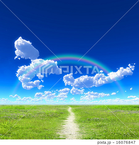 青空と草原 16076847
