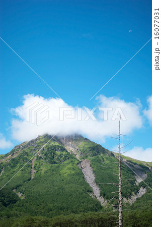 上高地　焼岳 16077031