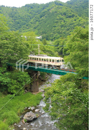 新緑の富士急行 16077172