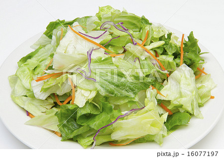 野菜サラダ 16077197