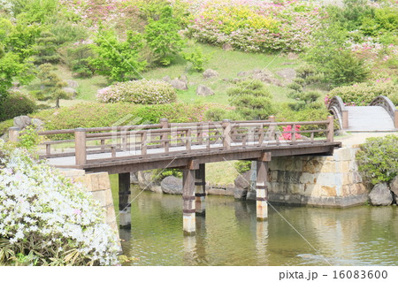 2015春神石高原12 2015春神石高原12 16083600