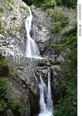 布引の滝 布引の滝 16083660