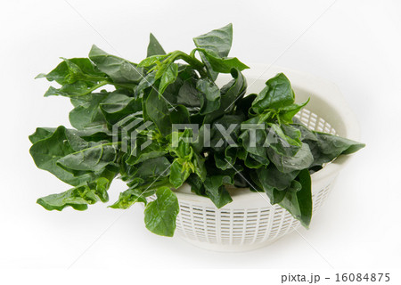 つるむらさき つるむらさき 16084875