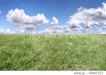 Sky and grass Sky and grass 16085222