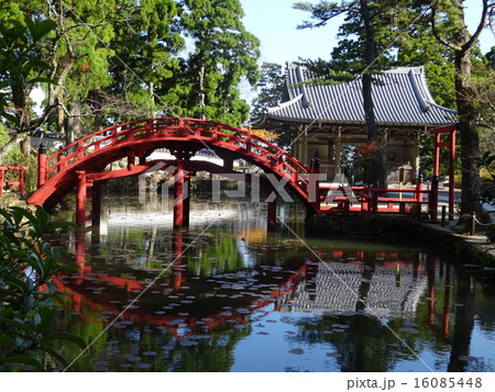 金剛證寺 16085448