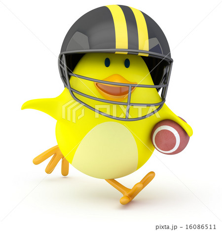 Quarterback 16086511