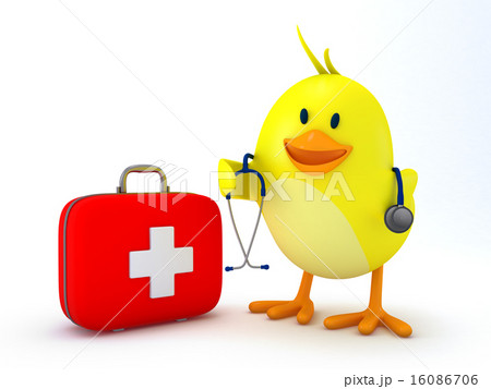 Little doctor chick 16086706