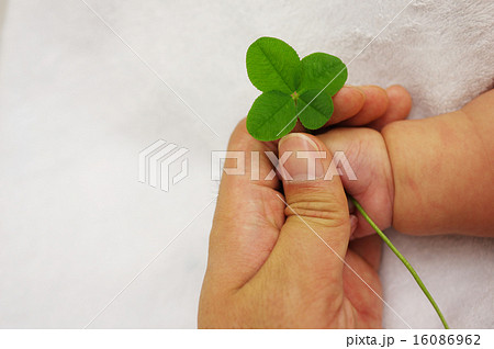 パパと赤ちゃん つないだ手 つなぐ幸せ パパと赤ちゃん つないだ手 つなぐ幸せ 16086962