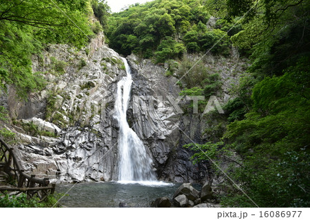 布引の滝 16086977