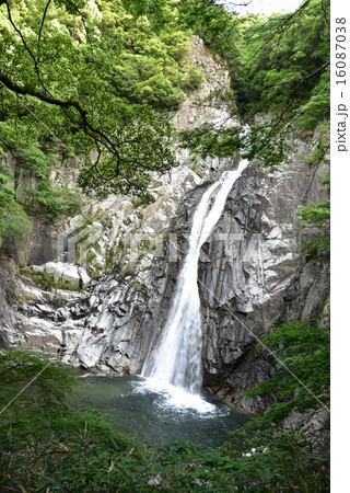 布引の滝 布引の滝 16087038