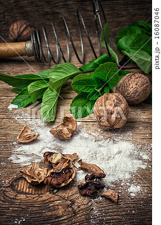 walnut 16087046