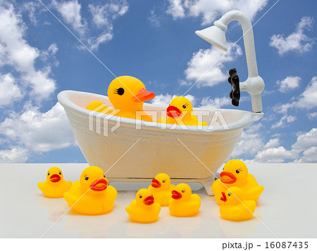 入浴する玩具のアヒル 16087435