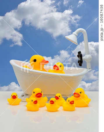 入浴する玩具のアヒル 16087436