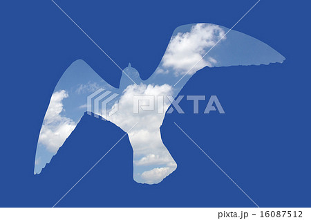 カモメのシルエットのイラスト素材