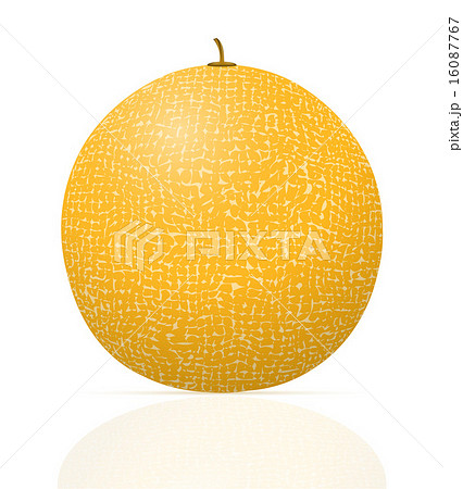 melon ripe juicy vector illustration melon ripe juicy vector illustration 16087767