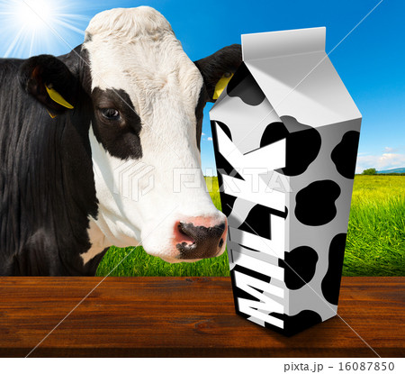 Milk Carton in Countryside with Cow Milk Carton in Countryside with Cow 16087850