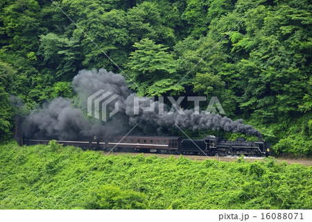 SLやまぐち号 SLやまぐち号 16088071