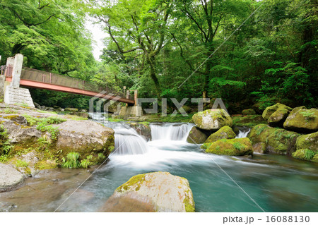 菊池渓谷 16088130