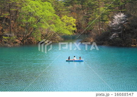 五色沼の春 16088547