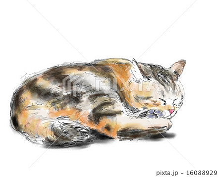 眠り猫のイラスト素材 1609