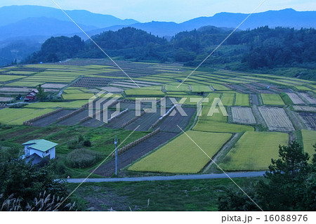 山形県 椹平の棚田 山形県 椹平の棚田 16088976