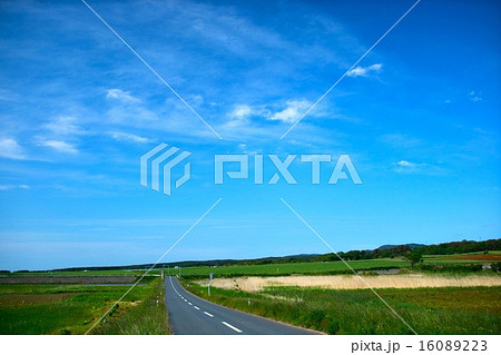 夏の青空 夏の青空 16089223