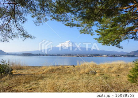 Beautiful Mt. Fuji reflected in Lake Kawaguchi 16089558