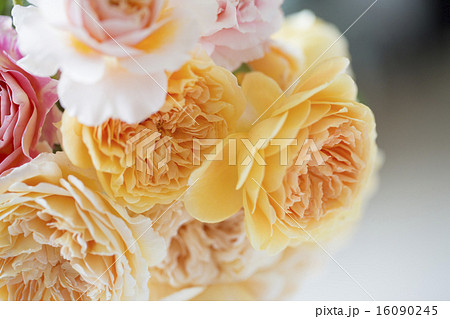 クラウンプリンセスマルガリータの花束の写真素材