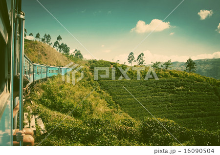 train from Nuwara Eliya to Kandy  16090504