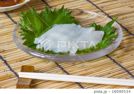 いかそうめん いかそうめん 16090534