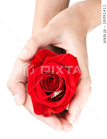 Women's hands with gift of rose and jewelry 16091411