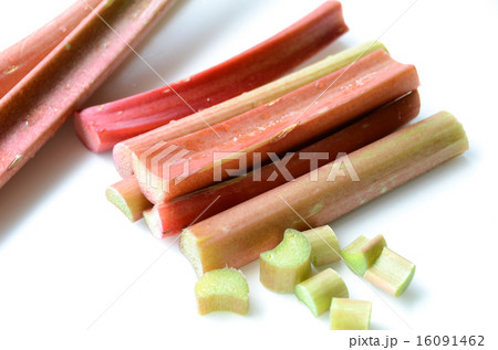 ルバーブ 16091462