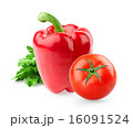 Pepper and tomato 16091524