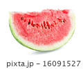 Slice of juicy melon 16091527
