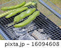 バーベキュー 16094608