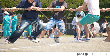 運動会の綱引き競技 16095885