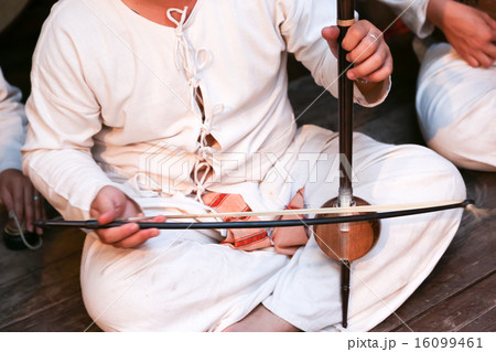 Fiddle in musical band 16099461