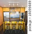 Modern Kitchen 16099889