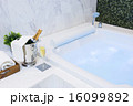 Champagne and Jacuzzi Spa 16099892