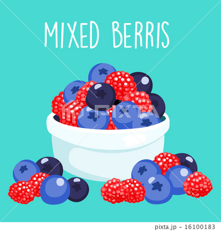 fresh mixed berries sprout in white bowl vector fresh mixed berries sprout in white bowl vector 16100183
