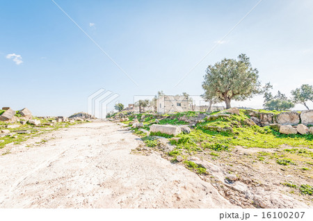 ウンム・カイス(ヨルダン北部) ウンム・カイス(ヨルダン北部) 16100207